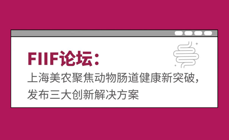 FIIF论坛：上海雀魂官网聚焦动物肠路健全新突破，颁布三大创新解决规划