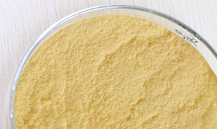 欢豚、溢美蛋白